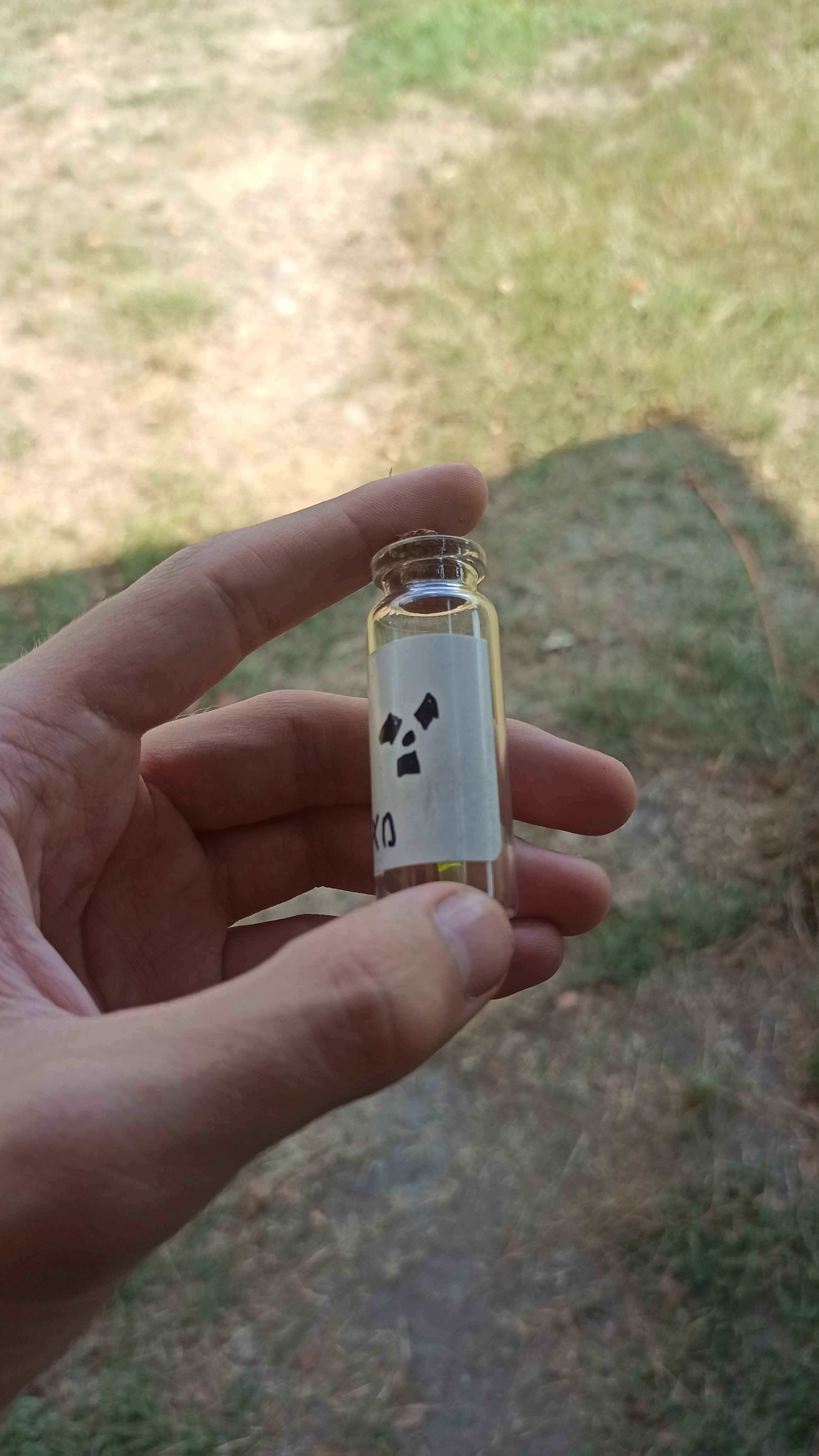 Example of an Artefact